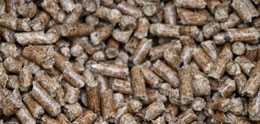 Wood Pellet